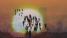 The Flaming Lips